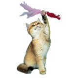 Tüylü Püsküllü Kedi Oyuncağı Dikkat Çekici Renkli Sevimli Evcil Hayvan Oyuncağı (3984)